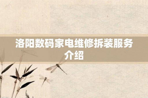 洛阳数码家电维修拆装服务介绍