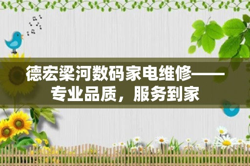 德宏梁河数码家电维修——专业品质，服务到家