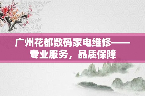 广州花都数码家电维修——专业服务，品质保障