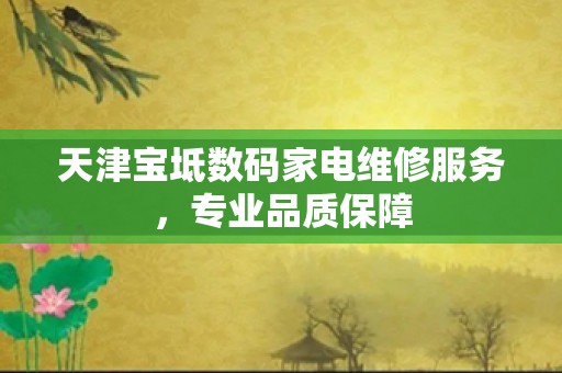 天津宝坻数码家电维修服务，专业品质保障