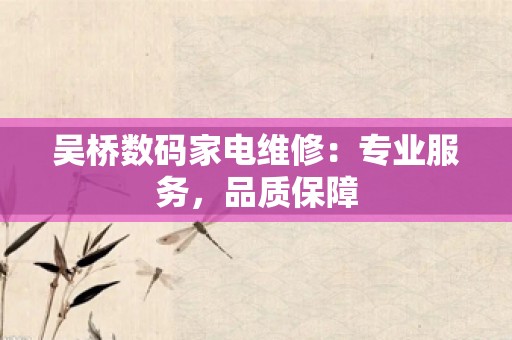 吴桥数码家电维修：专业服务，品质保障