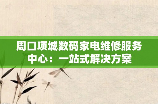 周口项城数码家电维修服务中心：一站式解决方案