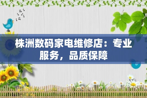 株洲数码家电维修店：专业服务，品质保障