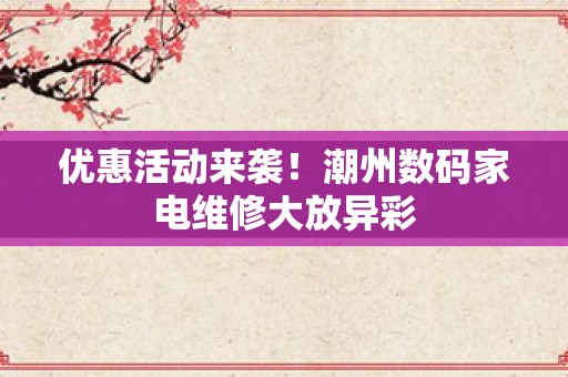 优惠活动来袭！潮州数码家电维修大放异彩