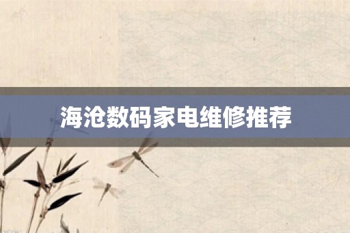 海沧数码家电维修推荐