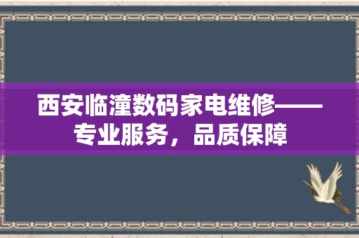 西安临潼数码家电维修——专业服务，品质保障