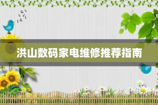 洪山数码家电维修推荐指南