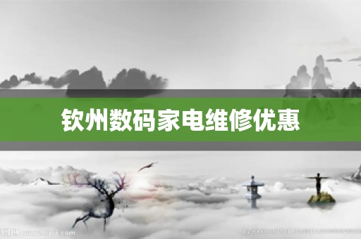 钦州数码家电维修优惠