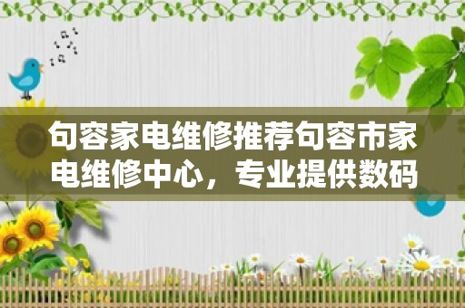 句容家电维修推荐句容市家电维修中心，专业提供数码家电维修服务