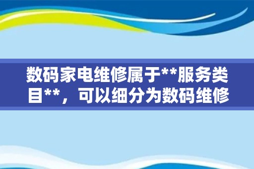 数码家电维修属于**服务类目**，可以细分为数码维修和家电维修两个子类目。