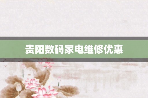 贵阳数码家电维修优惠