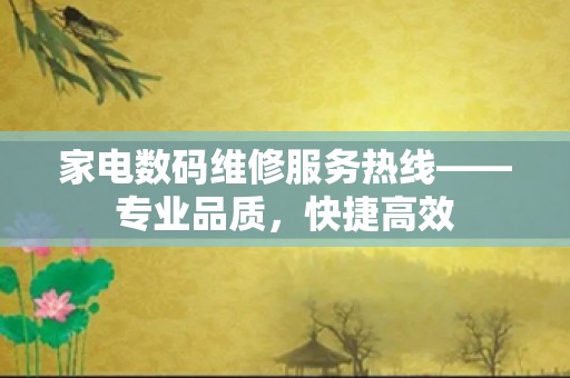 家电数码维修服务热线——专业品质，快捷高效