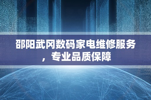 邵阳武冈数码家电维修服务，专业品质保障
