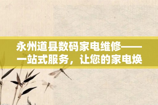 永州道县数码家电维修——一站式服务，让您的家电焕发新活力