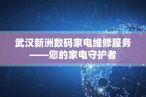 武汉新洲数码家电维修服务——您的家电守护者