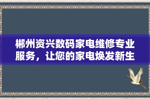 郴州资兴数码家电维修专业服务，让您的家电焕发新生！