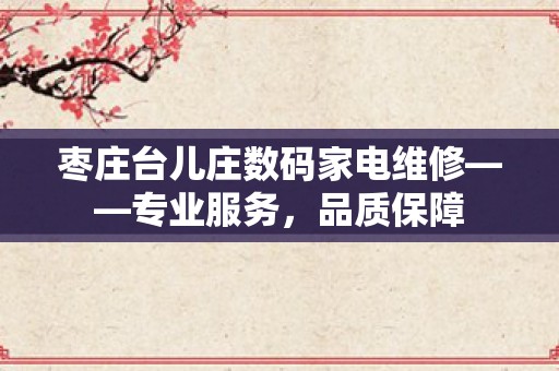 枣庄台儿庄数码家电维修——专业服务，品质保障
