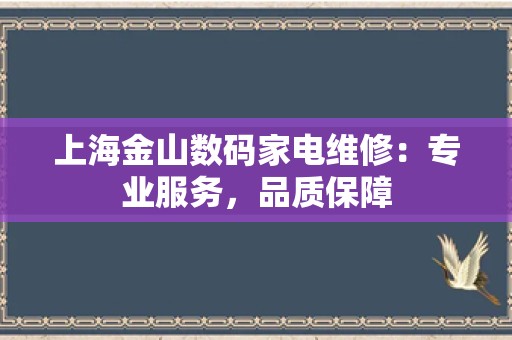 上海金山数码家电维修：专业服务，品质保障