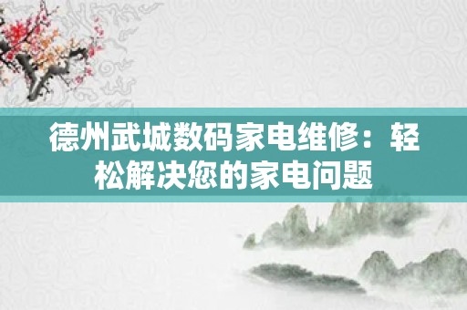 德州武城数码家电维修：轻松解决您的家电问题