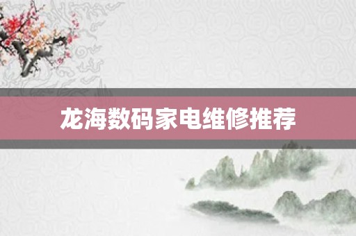 龙海数码家电维修推荐