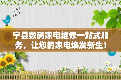 宁县数码家电维修一站式服务，让您的家电焕发新生！
