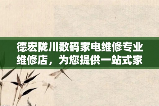 德宏陇川数码家电维修专业维修店，为您提供一站式家电维修服务