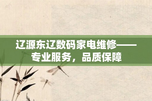 辽源东辽数码家电维修——专业服务，品质保障