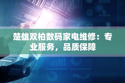 楚雄双柏数码家电维修：专业服务，品质保障