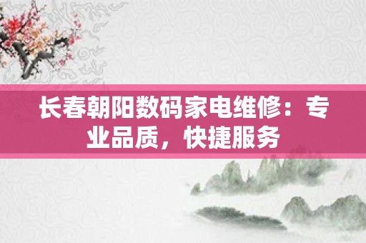 长春朝阳数码家电维修：专业品质，快捷服务