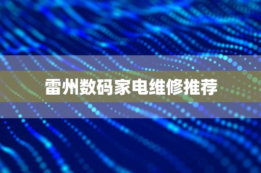雷州数码家电维修推荐