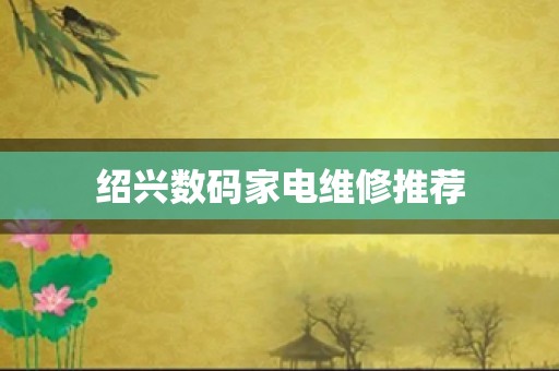 绍兴数码家电维修推荐