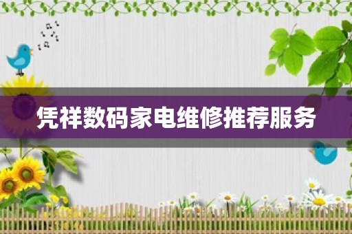 凭祥数码家电维修推荐服务