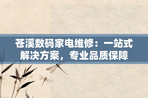 苍溪数码家电维修：一站式解决方案，专业品质保障
