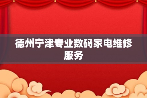 德州宁津专业数码家电维修服务