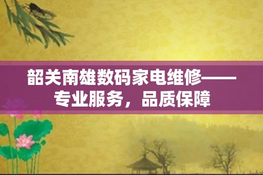 韶关南雄数码家电维修——专业服务，品质保障