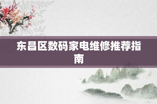 东昌区数码家电维修推荐指南