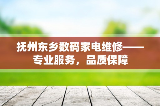 抚州东乡数码家电维修——专业服务，品质保障