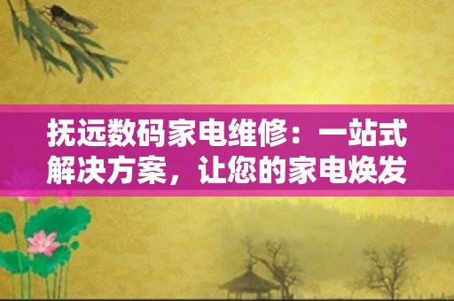 抚远数码家电维修：一站式解决方案，让您的家电焕发新生