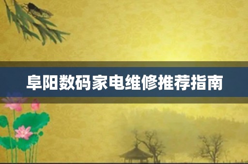 阜阳数码家电维修推荐指南