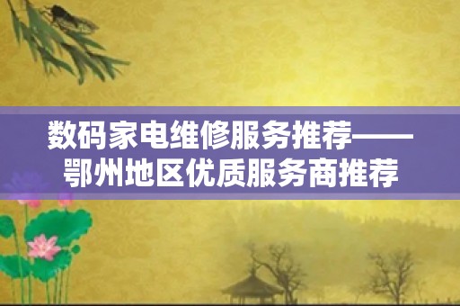 数码家电维修服务推荐——鄂州地区优质服务商推荐