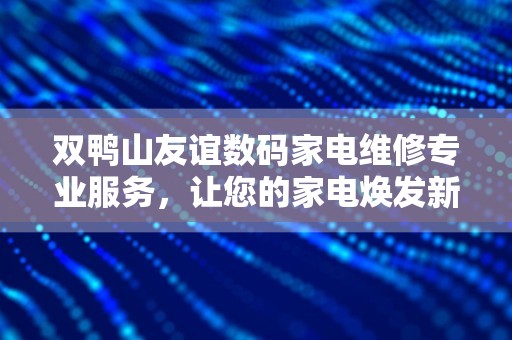 双鸭山友谊数码家电维修专业服务，让您的家电焕发新生