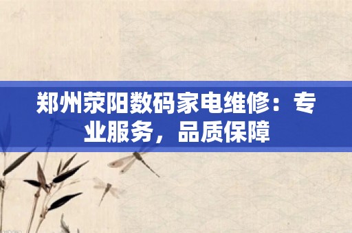 郑州荥阳数码家电维修：专业服务，品质保障