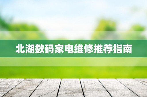 北湖数码家电维修推荐指南