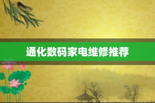 通化数码家电维修推荐