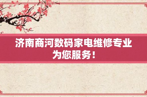 济南商河数码家电维修专业为您服务！