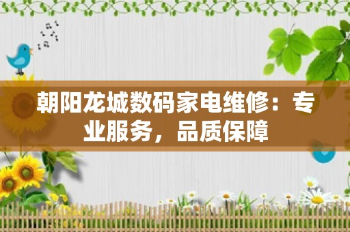 朝阳龙城数码家电维修：专业服务，品质保障