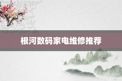 根河数码家电维修推荐