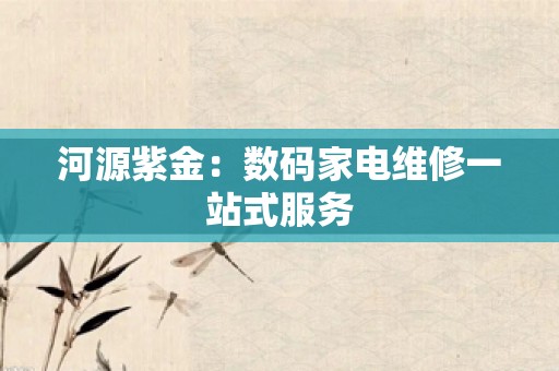 河源紫金：数码家电维修一站式服务