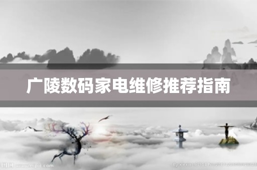 广陵数码家电维修推荐指南