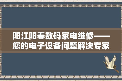 阳江阳春数码家电维修——您的电子设备问题解决专家